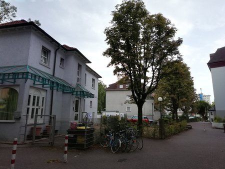IMG_20180801_174326.jpg
