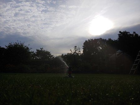 20180801_190422.jpg