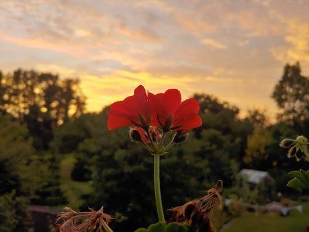 20180801_211202_HDR.jpg