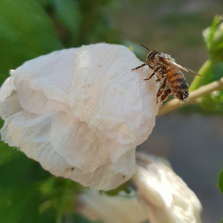 20180803_132549.jpg