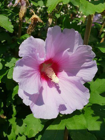 20180803_101125.jpg