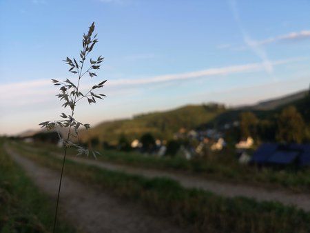 IMG_20180731_063840.jpg