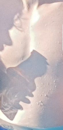 Screenshot_20180804-222306_Gallery.jpg