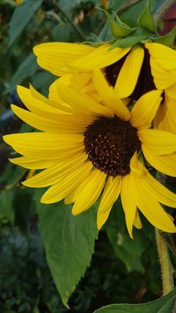 20180804_091540.jpg