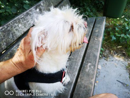 IMG_20180809_162750.jpg