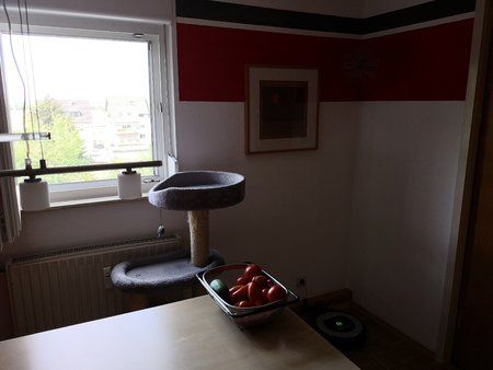 IMG_20180811_122245.jpg