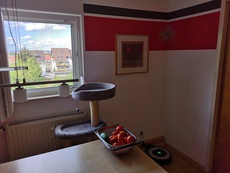 IMG_20180811_122302.jpg