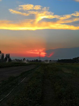 IMG_20180807_205250.jpg