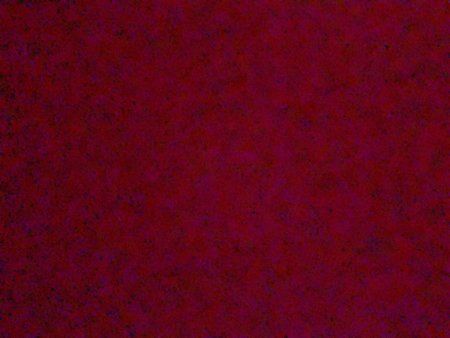 IMG_20180814_215820.jpg