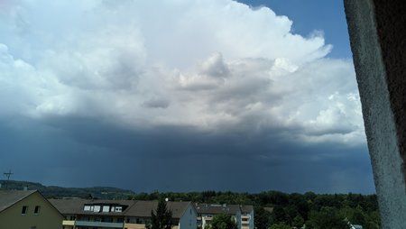 IMG_20180817_135155.jpg