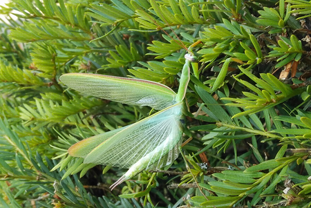 Bildschirmfoto zu 2018-08-20_17-39-17.png