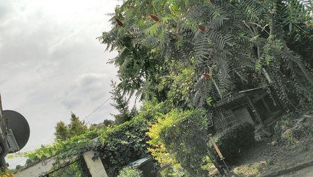 IMG_20180821_133742.jpg