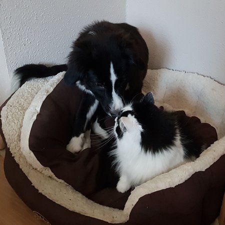 20180822_123428.jpg