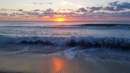 20180813_061658.jpg