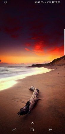 Screenshot_20180825-232657_Nova Launcher.jpg