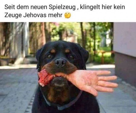 ukjrttewrwq.jpeg