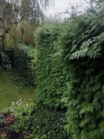 IMG_20180902_071324.jpg