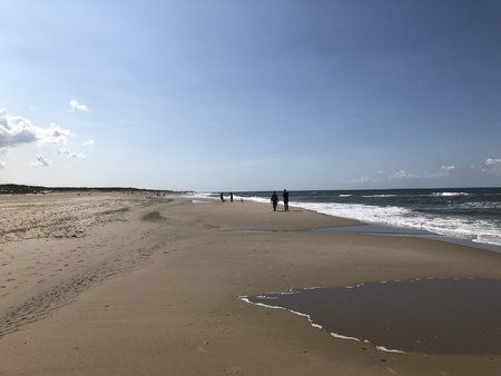 E423926E-E559-4036-A328-608E54A3FA80.jpeg