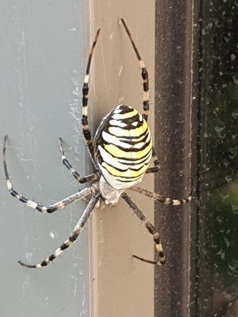 20180907_113045.jpg