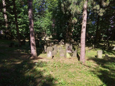 IMG_20180702_100406_HDR.jpg