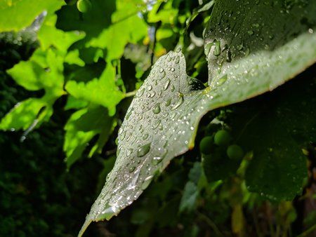 IMG_20180809_184745.jpg