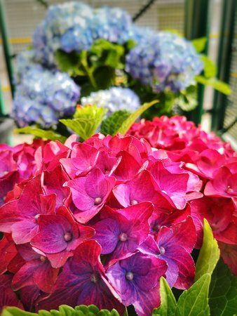 IMG_20180909_170858.jpeg