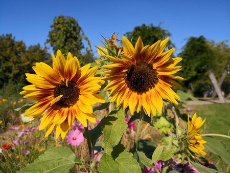 IMG_20180909_153944.jpg