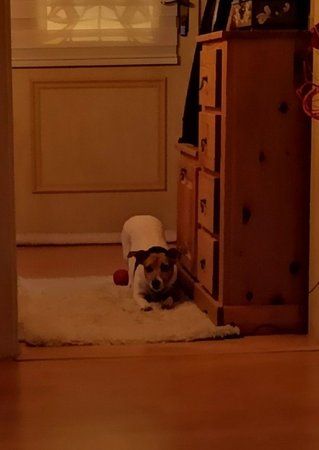 IMG_20180914_201655.jpg