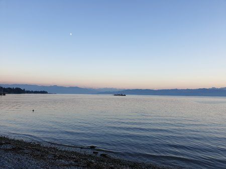 20180918_191446.jpg