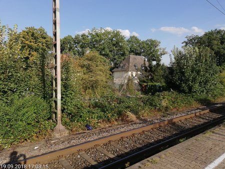 IMG_20180919_170315.jpg