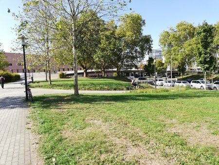 IMG_20180920_154528.jpg