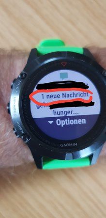 20180923_155507.jpg