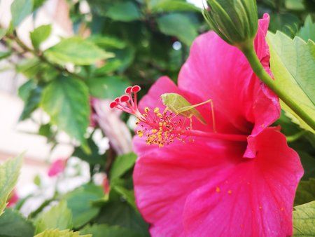 IMG_20180923_173851.jpg