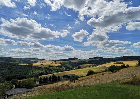 IMG_20180924_074857.jpg