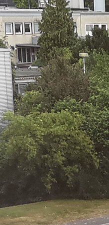 Screenshot_20180924-222134_Gallery.jpg
