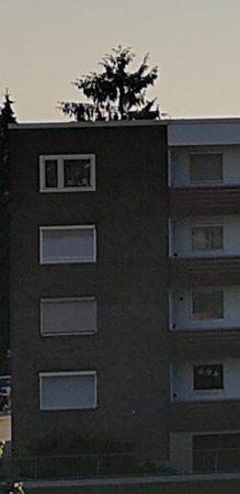 Screenshot_20180924-222218_Gallery.jpg