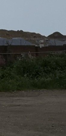 Screenshot_20180924-222810_Gallery.jpg