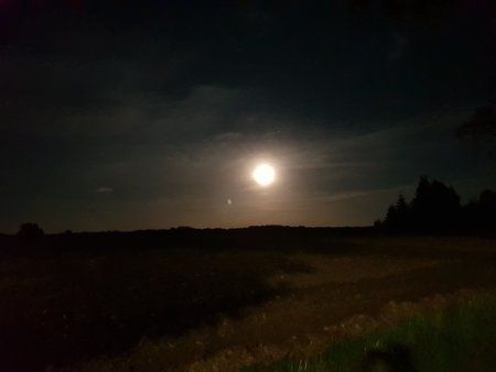 20180925_205921.jpg