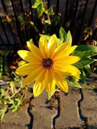 20180918_080551.jpg