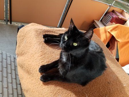 20180926_163303.jpg