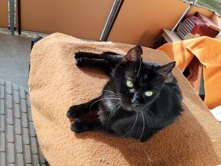 20180926_163306.jpg