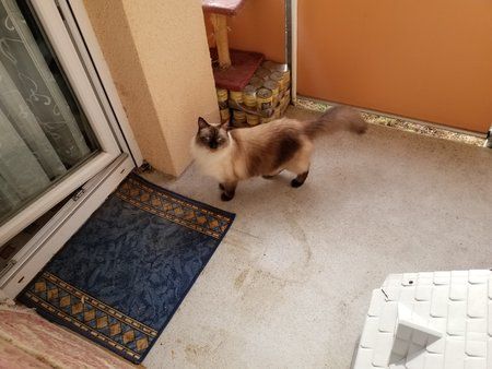 20180926_163355.jpg