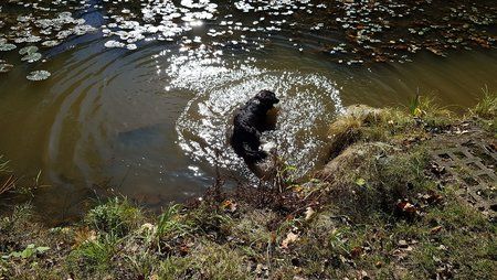 IMG-20180927-WA0000.jpeg