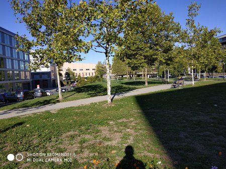 IMG_20180927_104544.jpg