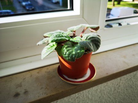 IMG_20180926_164811.jpg