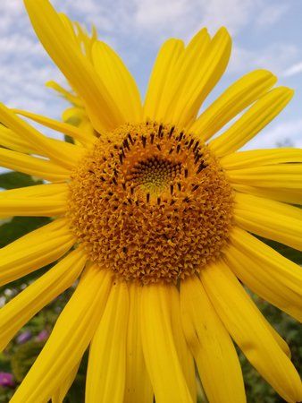 20180901_181239.jpg