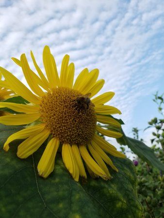 20180901_180648.jpg