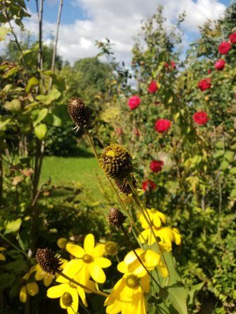 20180929_122434.jpg