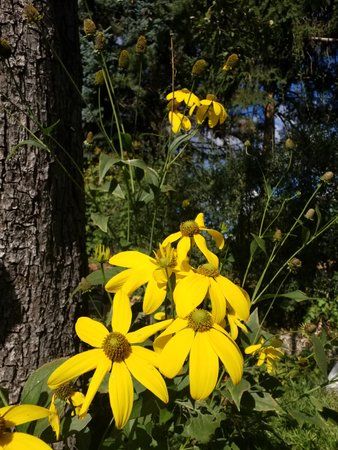 20180929_122153.jpg