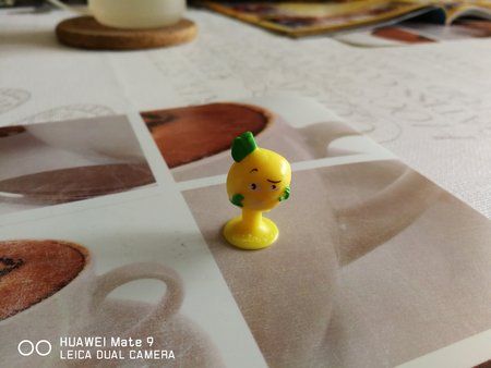IMG_20181003_131444-1.jpg